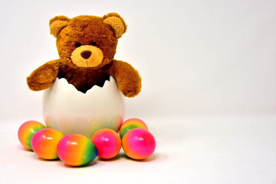 Egg colored colorful