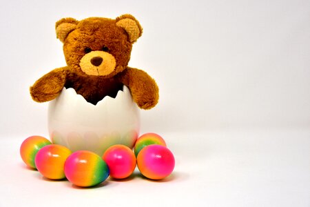 Egg colored colorful