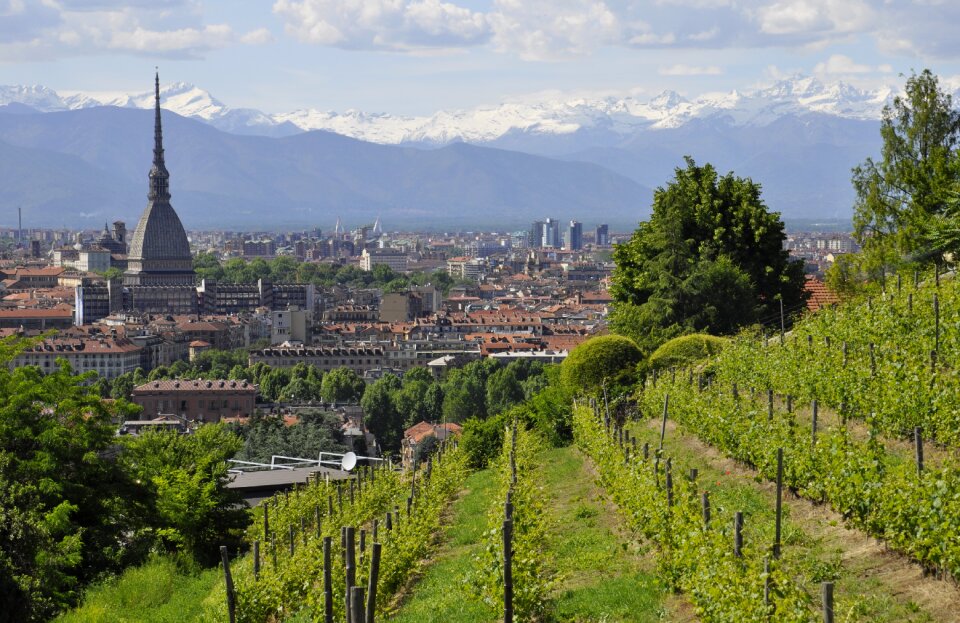 Vineyard city mountains