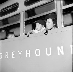 Gila River Relocation Center, Rivers, Arizona. Aboard the Greyhound bus, which will take them to th . . . - NARA - 539852