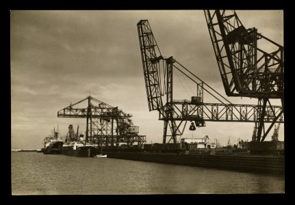 Gdynia - (Pologne) Wywrotnica w porcie ante 1939 (67264680)