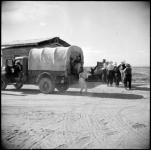 Gila River Relocation Center, Rivers, Arizona. Evacuee agricultural workers are here shown on their . . . - NARA - 538588