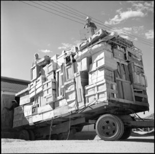 Gila River Relocation Center, Rivers, Arizona. On September 15, two weeks before the Canal Camp at . . . - NARA - 539842