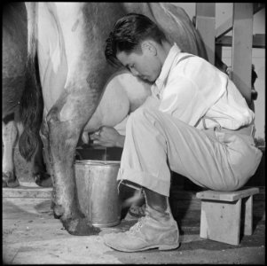 Gila River Relocation Center, Rivers, Arizona. George Takemoto, former resident of Ventura County, . . . - NARA - 537084