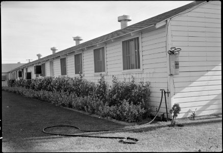 Gila River Relocation Center, Rivers, Arizona. Side view of Butte Administration Building. - NARA - 539556