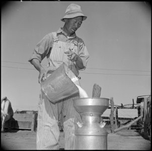 Gila River Relocation Center, Rivers, Arizona. S. Ishimoto, former resident of El Centro, Californi . . . - NARA - 537088 photo