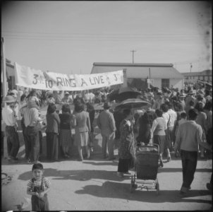 Gila River Relocation Center, Rivers, Arizona. One of the posters at the Gila project, where a Harv . . . - NARA - 538659
