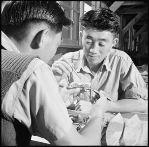 Gila River Relocation Center, Rivers, Arizona. Roy Katsura and Haruo Yoshimoto (L. to R.) check the . . . - NARA - 537095