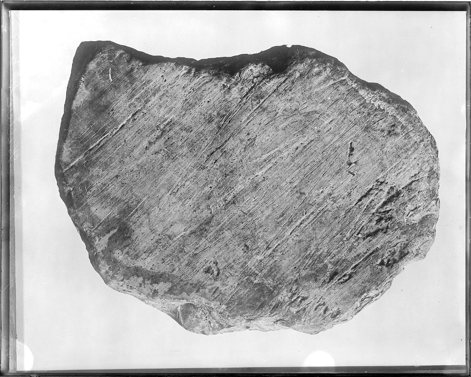 Glaciated boulder from Norway, Iowa (Benton County). Old No. 365. Negative destroyed by authority of - NARA - 517786