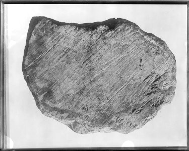 Glaciated boulder from Norway, Iowa (Benton County). Old No. 365. Negative destroyed by authority of - NARA - 517786