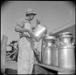 Gila River Relocation Center, Rivers, Arizona. S. Ishimoto, former resident of El Centro, Californi . . . - NARA - 537087