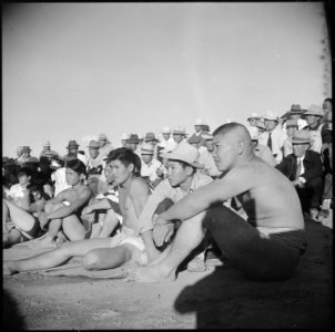 Gila River Relocation Center, Rivers, Arizona. The wrestling tournament held at this center on Than . . . - NARA - 538627 photo