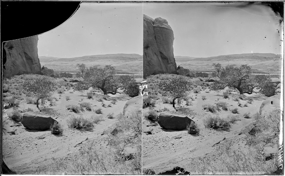 Glen Canyon. Looking out of a glen. Old nos. 304, 393, 403, 843. - NARA - 517978