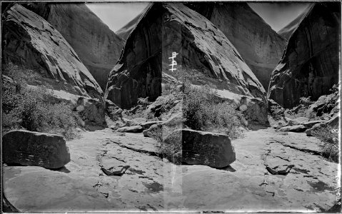 Glen Canyon. A side canyon. Fennemore photo. Old nos. 300, 397, 863, 407, 867. Negative destroyed by - NARA - 517988 photo