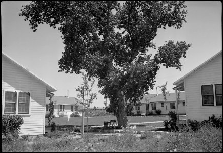 Granada Relocation Center, Amache, Colorado. C Section, Appointed Personnel Quarters at Amache. - NARA - 539569
