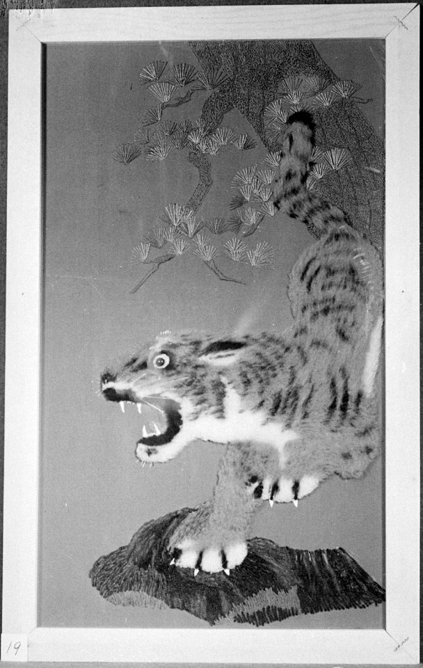 Granada Relocation Center, Amache, Colorado. Flying Tiger make of yarn with pine needles of silk . . . - NARA - 539615