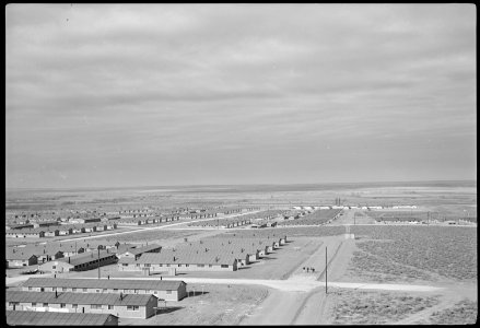 Granada Relocation Center, Amache, Colorado. A view of the Granada Center looking north from the wa . . . - NARA - 536556