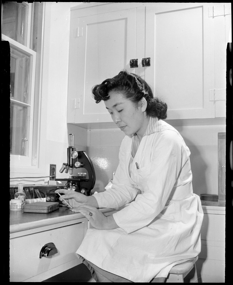 Granada Relocation Center, Amache, Colorado. A young technician in the hospital laboratory, prapari . . . - NARA - 539042