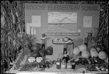 Granada Relocation Center, Amache, Colorado. Amache Elementary school victory garden exhibit, Amach . . . - NARA - 537350