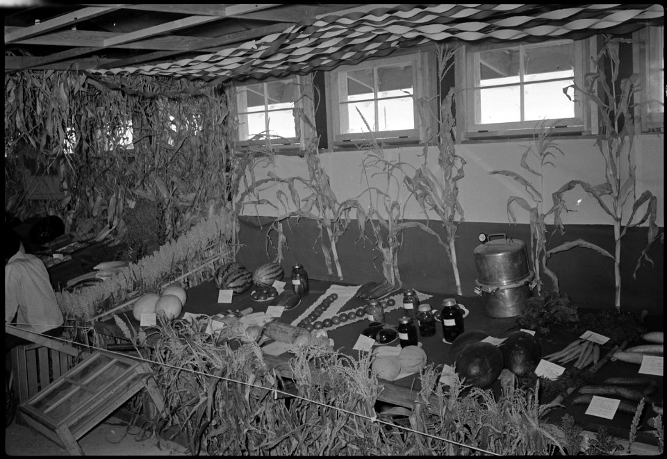 Granada Relocation Center, Amache, Colorado. Amache Agricultural Fair (9-11 - 12-43) exhibit by the . . . - NARA - 537337