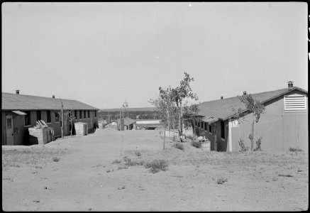 Granada Relocation Center, Amache, Colorado. Evacuee barracks showing gardens and trees. - NARA - 537211