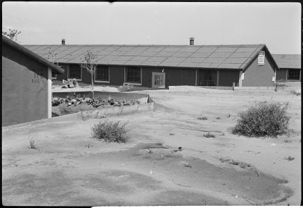 Granada Relocation Center, Amache, Colorado. Block 11E showing course of flood water. - NARA - 537236