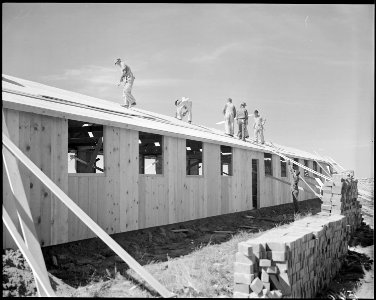 Granada Relocation Center, Amache, Colorado. Contractor's workmen roofing the assembled barracks unit. - NARA - 538730