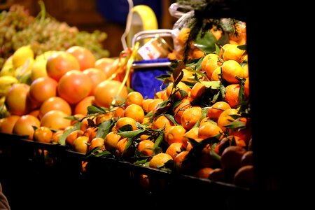 Citrus fruit fruit vitamins