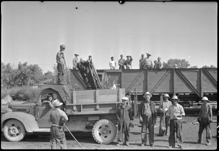 Granada Relocation Center, Amache, Colorado. Coal loading machine in operation at Granada Relocatio . . . - NARA - 537313
