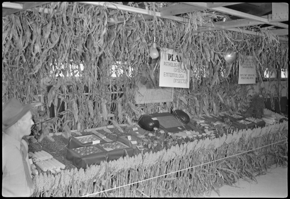 Granada Relocation Center, Amache, Colorado. First-prize-winning booth put up by the Amache Vocatio . . . - NARA - 537336