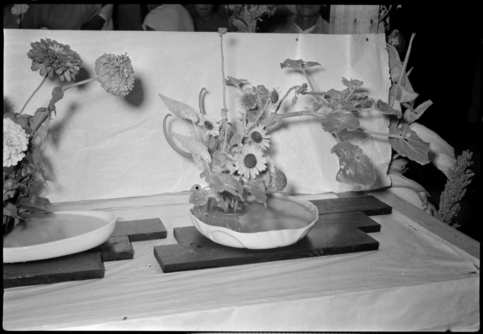 Granada Relocation Center, Amache, Colorado. Flower displays at the Amache Agricultural Fair, Septe . . . - NARA - 537316