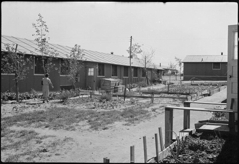 Granada Relocation Center, Amache, Colorado. Evacuee barracks showing gardens and trees. - NARA - 537210