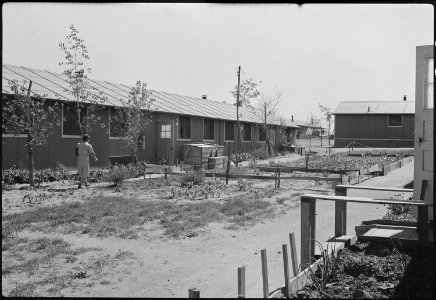Granada Relocation Center, Amache, Colorado. Evacuee barracks showing gardens and trees. - NARA - 537210