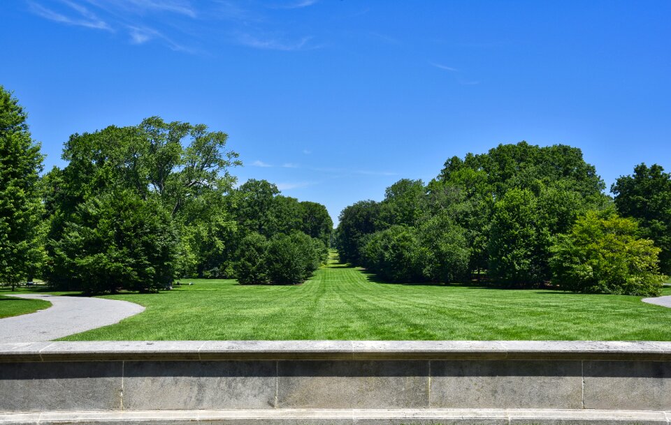 Nature summer park