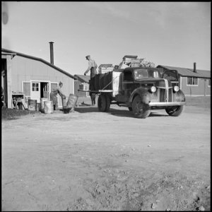 Granada Relocation Center, Amache, Colorado. Garbage collection crew gathering refuse from a mess h . . . - NARA - 539128