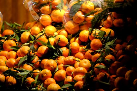 Citrus fruit fruit vitamins photo