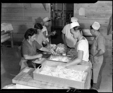 Granada Relocation Center, Amache, Colorado. Kitchen crew preparing pork chops for the evening meal . . . - NARA - 538745