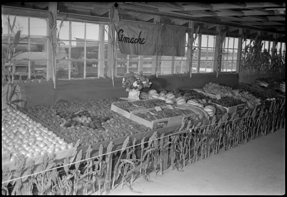 Granada Relocation Center, Amache, Colorado. Second-prize-winning farm-unit display at Amache Agric . . . - NARA - 537360
