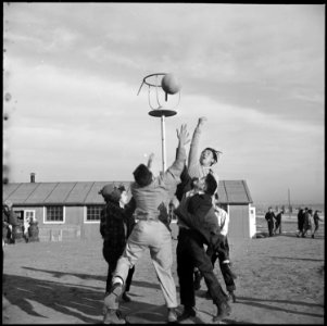 Granada Relocation Center, Amache, Colorado. Scattered throughout the school grounds and near recre . . . - NARA - 539068
