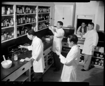 Granada Relocation Center, Amache, Colorado. The Pharmaceutical Laboratory with its regular staff o . . . - NARA - 539043