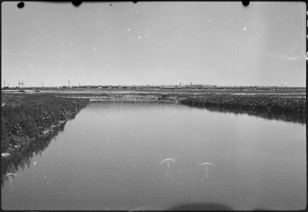 Granada Relocation Center, Amache, Colorado. Sewage disposal plant ponds. - NARA - 537224