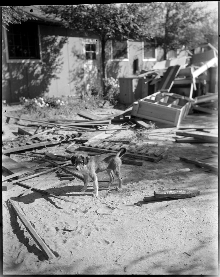 Granada Relocation Center, Amache, Colorado. Tables, benches, chairs, etc., made from scrap lumber . . . - NARA - 539956