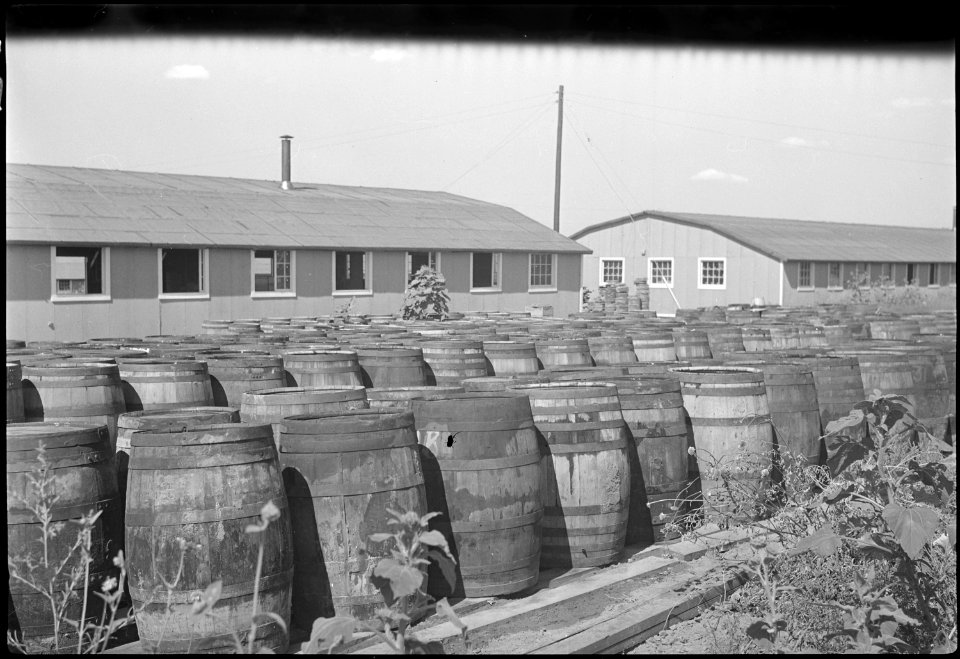 Granada Relocation Center, Amache, Colorado. These barrels, located in back of the warehouse, are u . . . - NARA - 537269