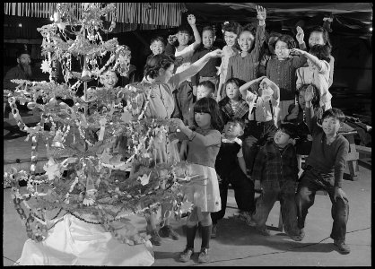 Granada Relocation Center, Amache, Colorado. There aren't any Christmas trees for the barracks room . . . - NARA - 539494