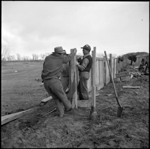 Granada Relocation Center, Amache, Colorado. Volunteer workers constructing fence and hog pens for . . . - NARA - 539076