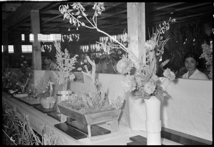 Granada Relocation Center, Amache, Colorado. Trayscape and flower display at the Amache Agricultura . . . - NARA - 537317