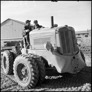Granada Relocation Center, Amache, Colorado. Volunteer resident workers and a heavy grader in level . . . - NARA - 539117