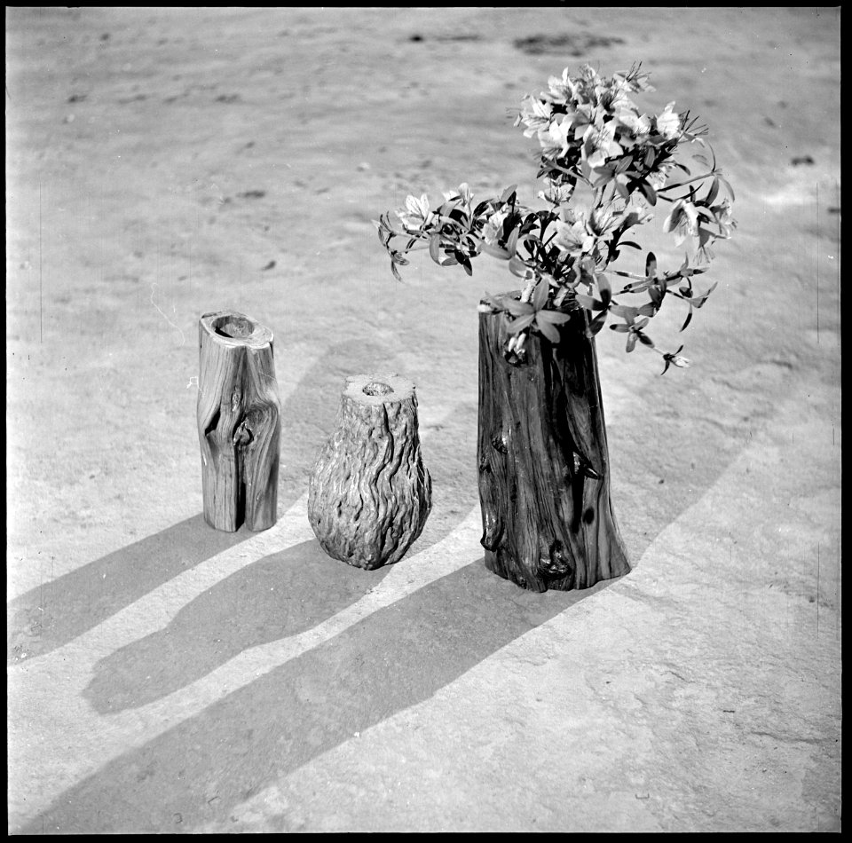 Granada Relocation Center, Amache, Colorado. Wooden vases carved from sections of local trees-natur . . . - NARA - 539918