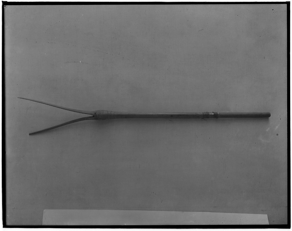 Grass Dance whistle of Dakota tribe - NARA - 523708