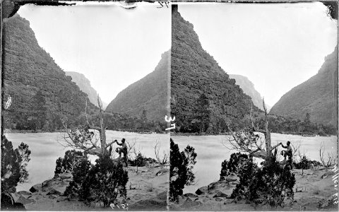 Green River. Canyon of Lodore, unidentified man standing with foot on dead tree, hat in hand, side - NARA - 517874